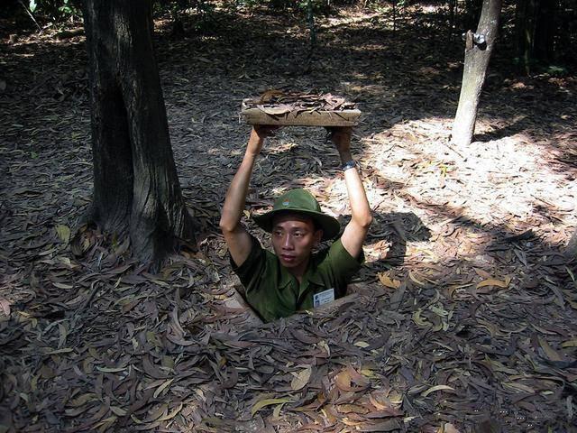 足球宝贝啄木鸟 我可以帮您进一步分析