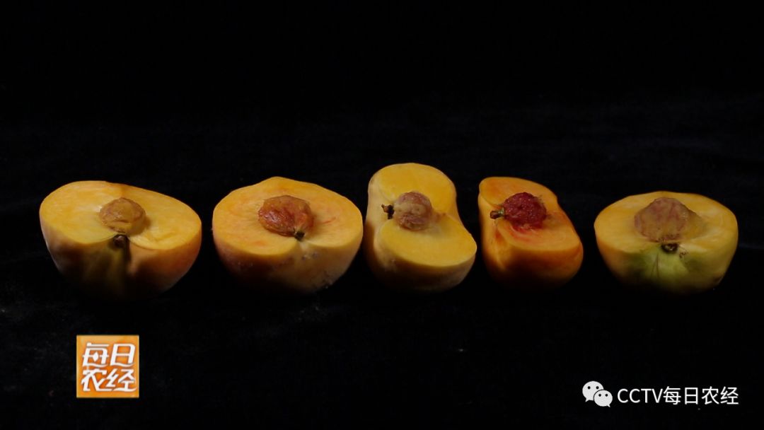 younv在线 我很乐意为您提供帮助