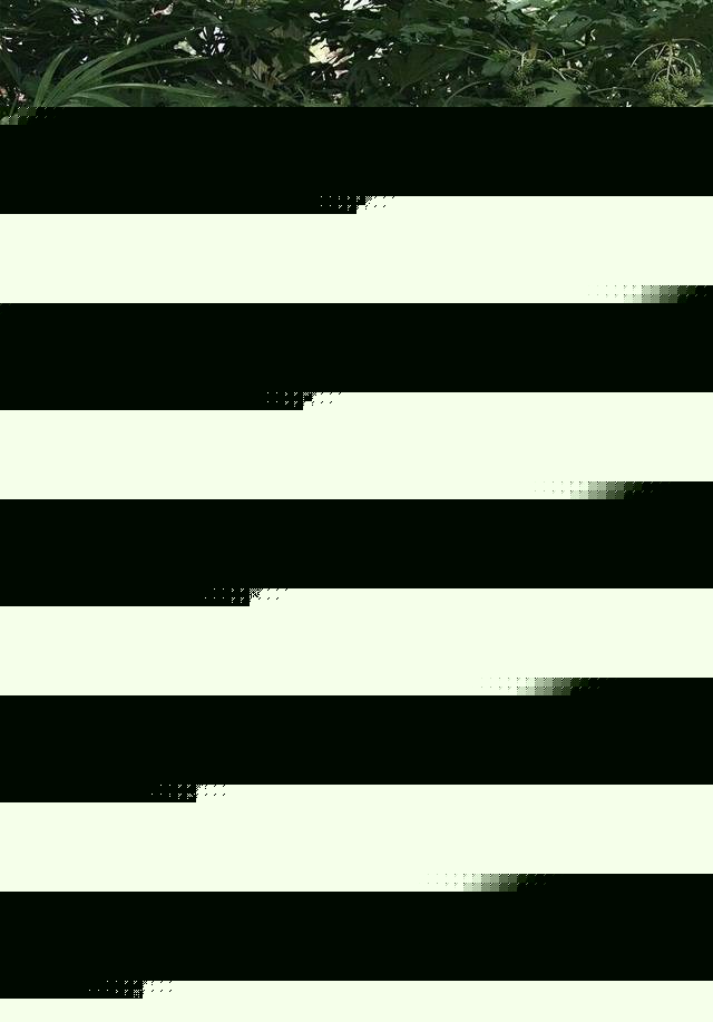 彩虹交友群 交友群聊互动氛围友好