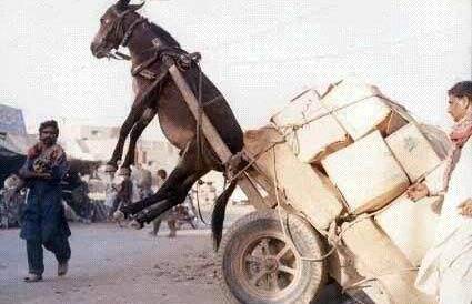 黑料大事记 黑料同类聚合平台中