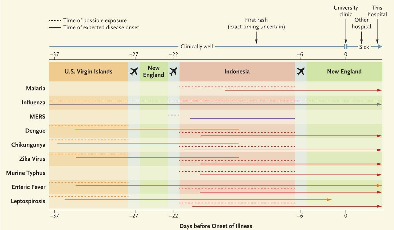 嗄困困狗 短暂闭眼休息几分钟