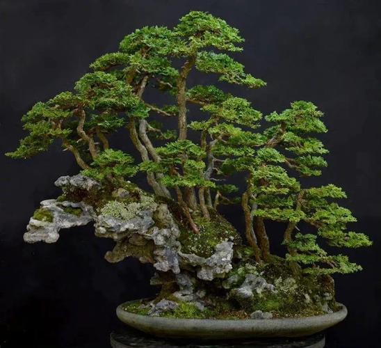 美女直接和男生靠