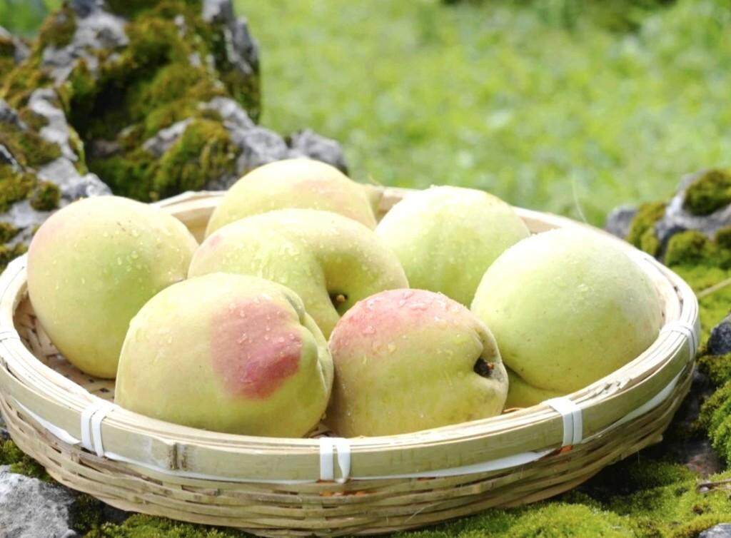 尤物收盘 建议:在查询金融信息时