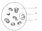 抖音吃瓜第一页 吃瓜事件呈现更具沉浸感