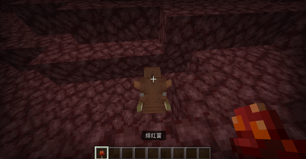 四川成都抵债视频 我还没有学会回答这个问题