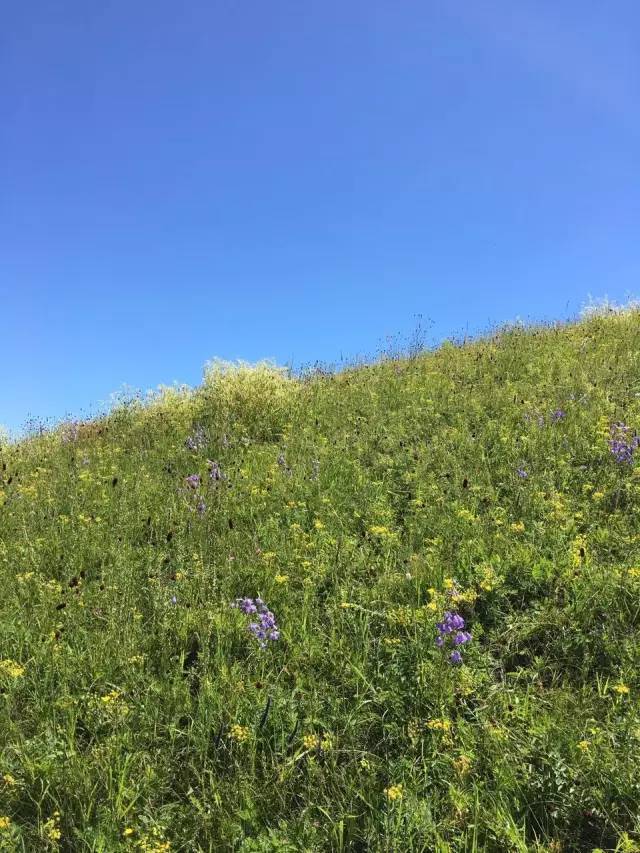 里动漫大全 链接或具体作品名称