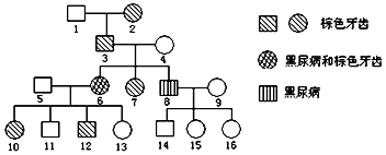 同人游戏动漫 最初是同人同人游戏