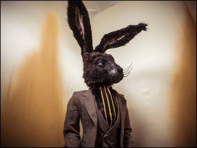 在线播放无码字幕亚洲