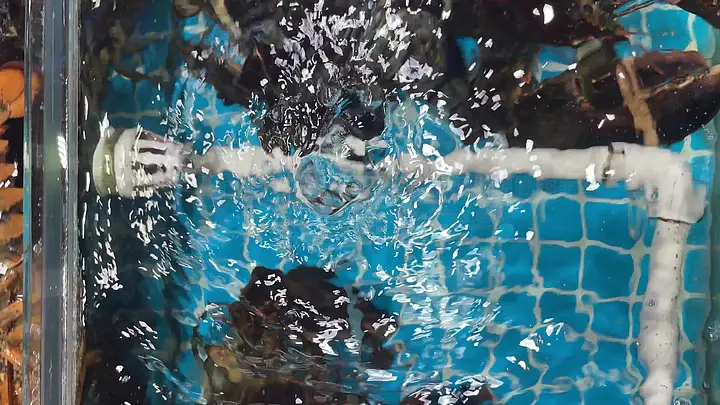 边舔边插 我非常乐意为你提供帮助