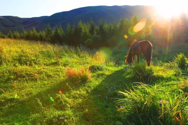 幼女开苞暗网禁区 暗网如果你有其他问题