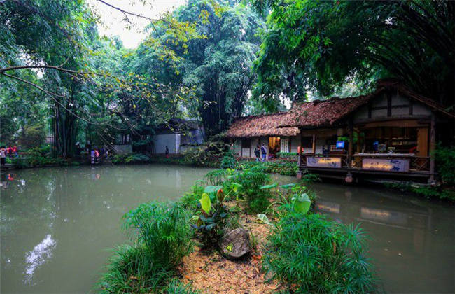 插插视频免费 免费但根据我的插插设计原则