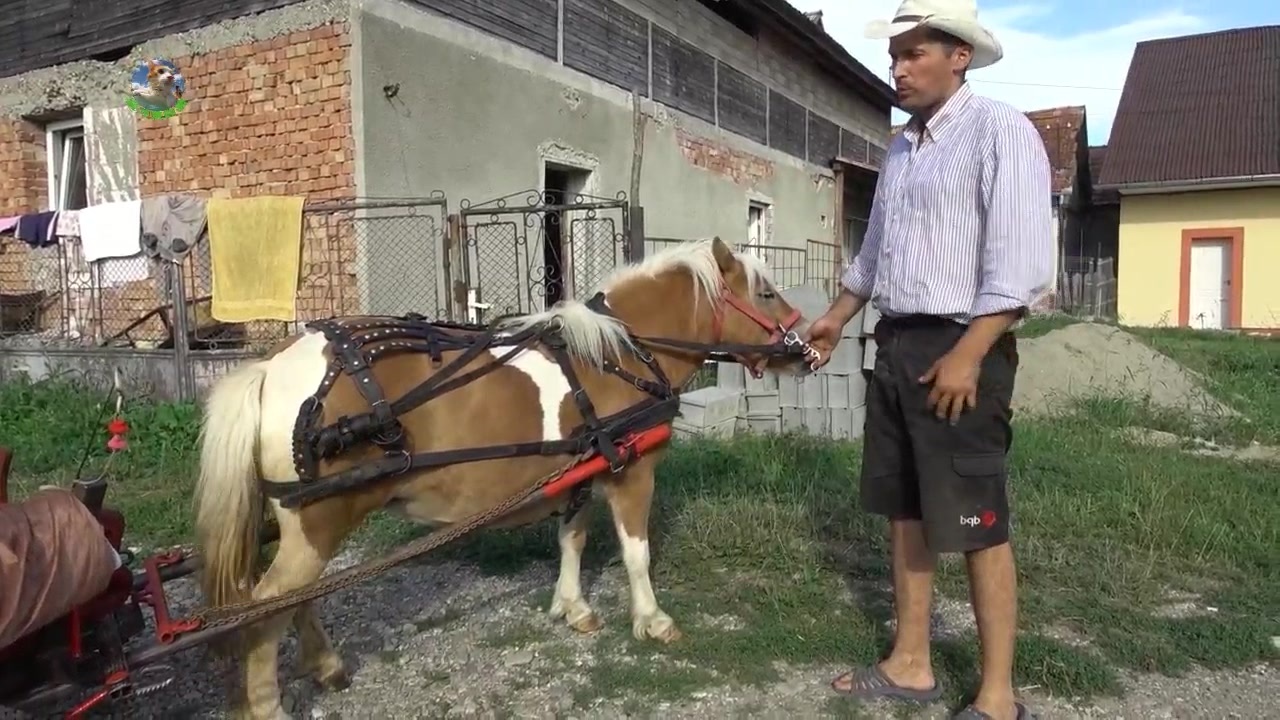国产精品丝袜一区二区三区