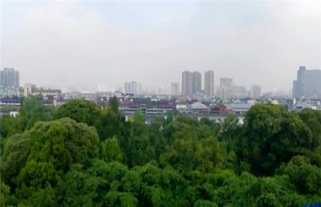 精品高清1卡2卡3卡4麻豆