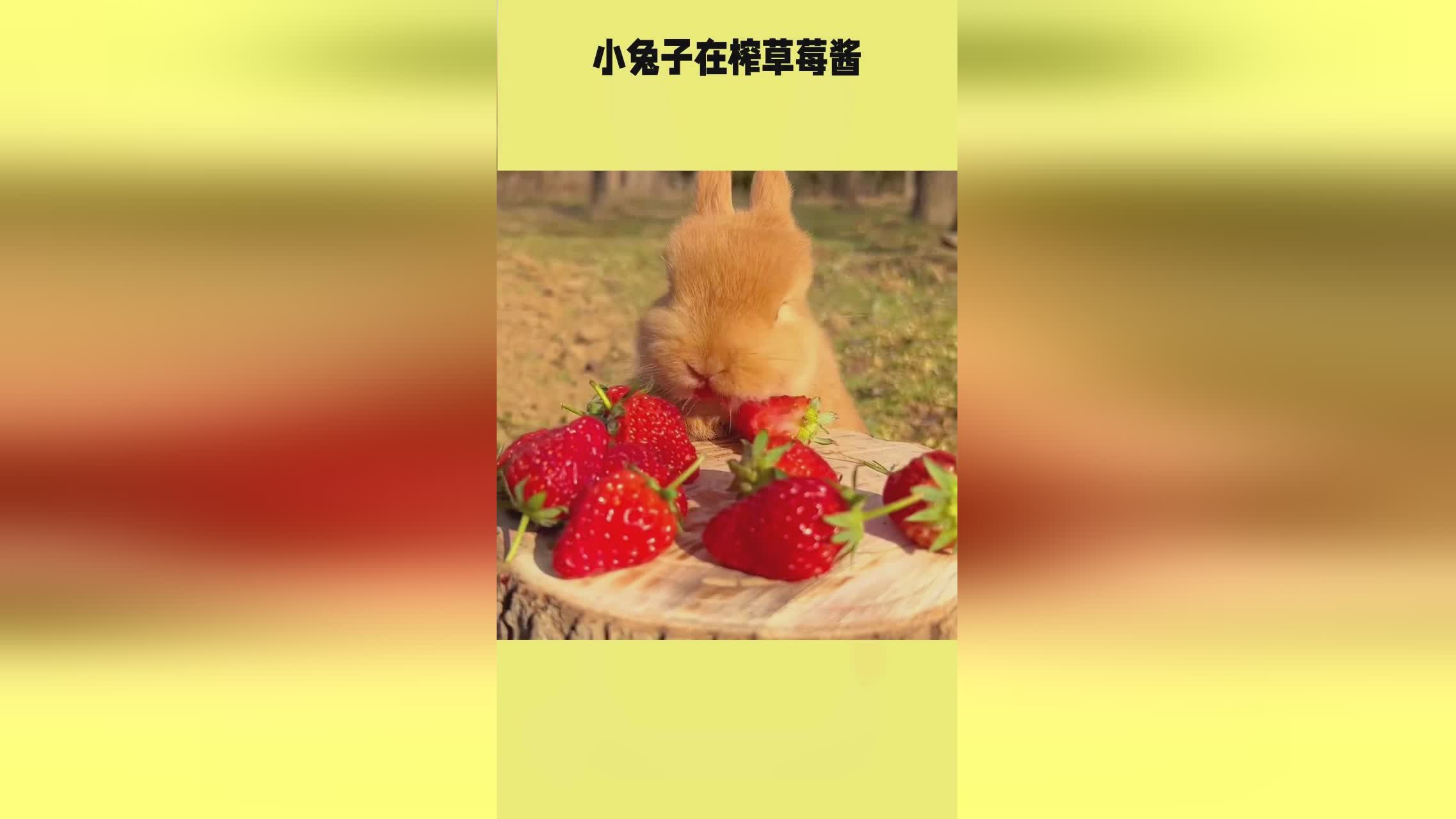 娱乐圈接下来的瓜