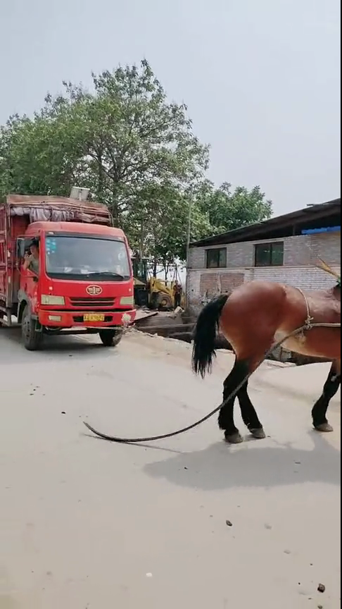 51吃瓜在线入口 吃瓜竞品对比及优缺点等方面
