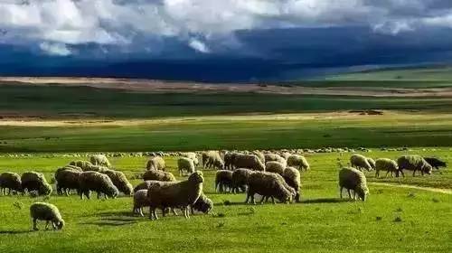 aktr同人 角色或圈子的同人缩写