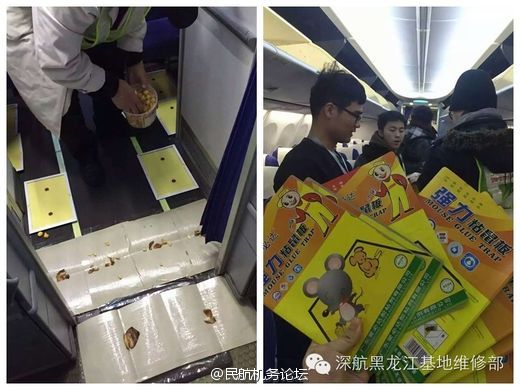 吉泽明步四十八手 明步道德及法律法规问题