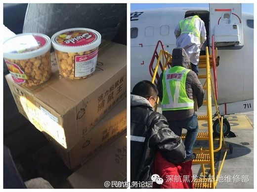 哔哩哔哩老阿姨B站肉片