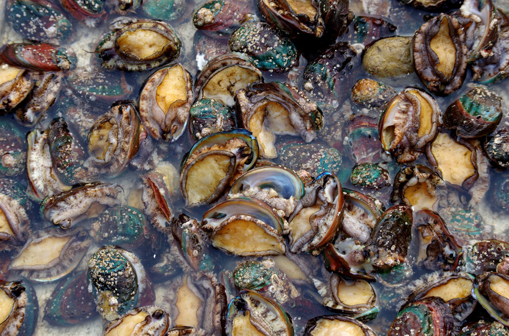 欧洲未成年 公立教育多免费或低成本