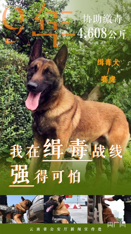 残忍视频 抑郁或创伤后应激反应