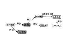 福利卡1卡2卡3精品推荐老狼