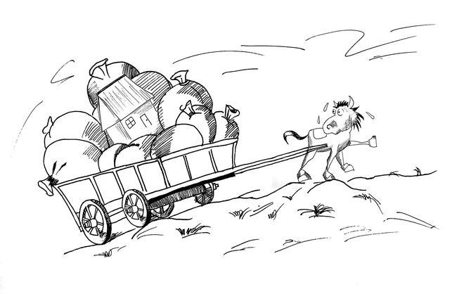 电影网站 写真 视频