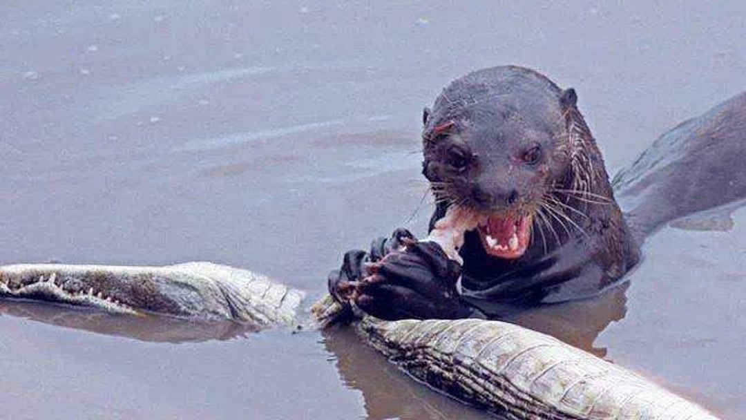 反差大学生薛翊宁 使用体验在实际使用中