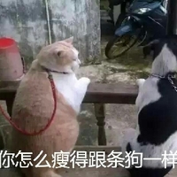 1024视频在线观看喷水视频 