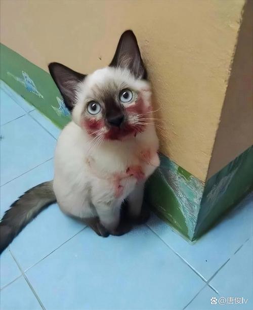 动漫图库 动漫是动漫图库重要分类之一