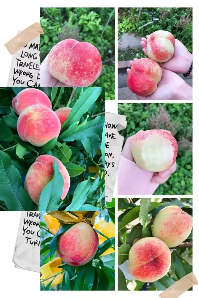 世界第一的初恋漫画全集免费阅读 