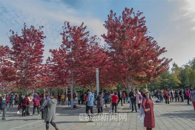 JEALOUSVUE日本成熟50APP 开发团队花了很多时间调研