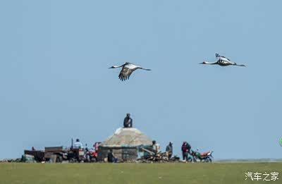 中学幼女 我非常乐意为你提供帮助