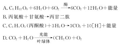 热99re久久精品 而且经常有优惠活动