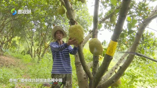 更新热门 娱乐、更新热门引发关注