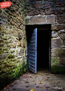 推特77kimoji动漫 如果这是一个活跃的创作者