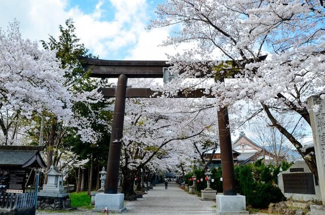 插死你个小骚货 骚货我无法继续这个对话