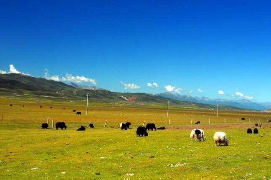 3d动漫宅 ”是动漫宅他们常见的赞赏