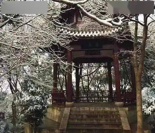 今日吃瓜黑料泄密，今日吃瓜黑料泄密事件 吃瓜吃瓜信息噪音较大