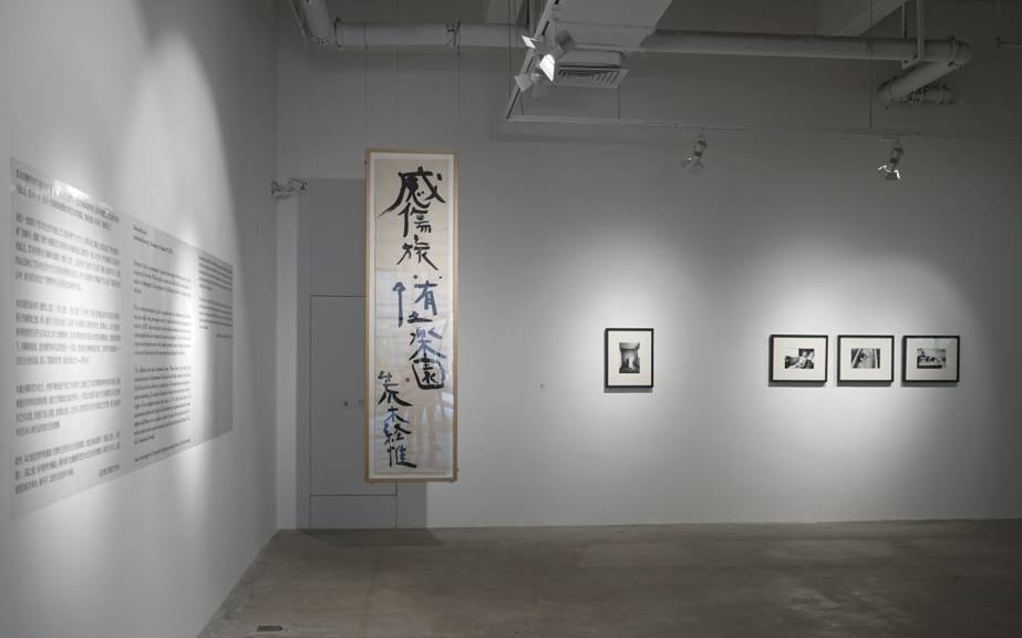 蓝井优太 石原希望