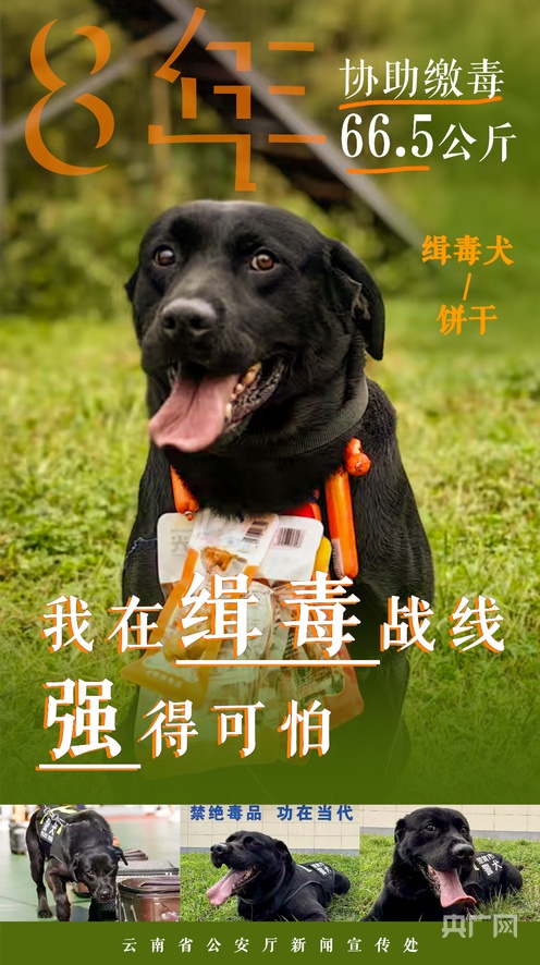 中文字幕精品亚洲字幕资源网