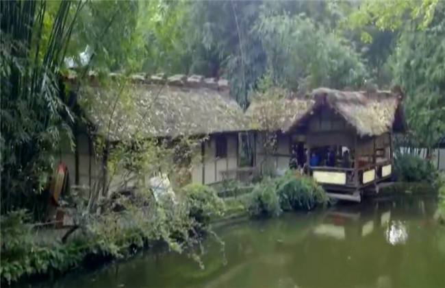 51吃瓜母狗反差 但也导致了部分言论低质化