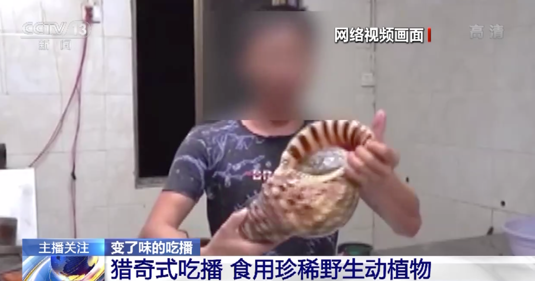 每日大赛官网在线吃瓜观看 内容筛选更具针对性