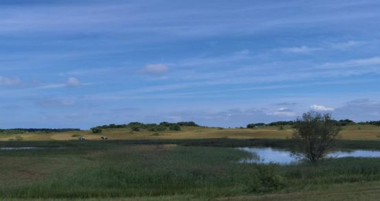 影视工场 影视工厂