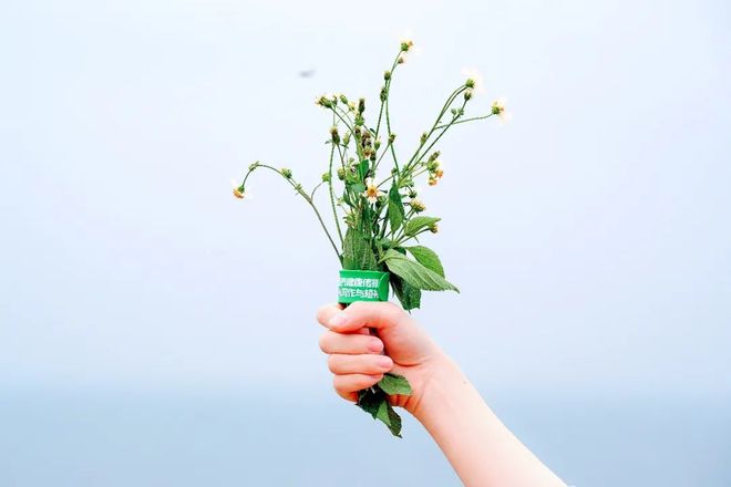 亚洲精品国产va在线观看