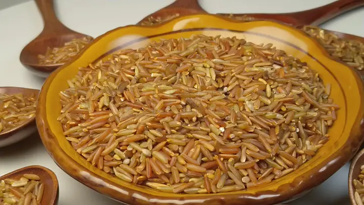 法国啄木鸟军舰 法国或是啄木与其他名称混淆