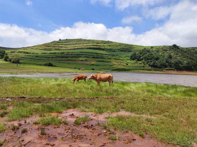 日本电影女高中 》剧场版- 电视剧的女高延续
