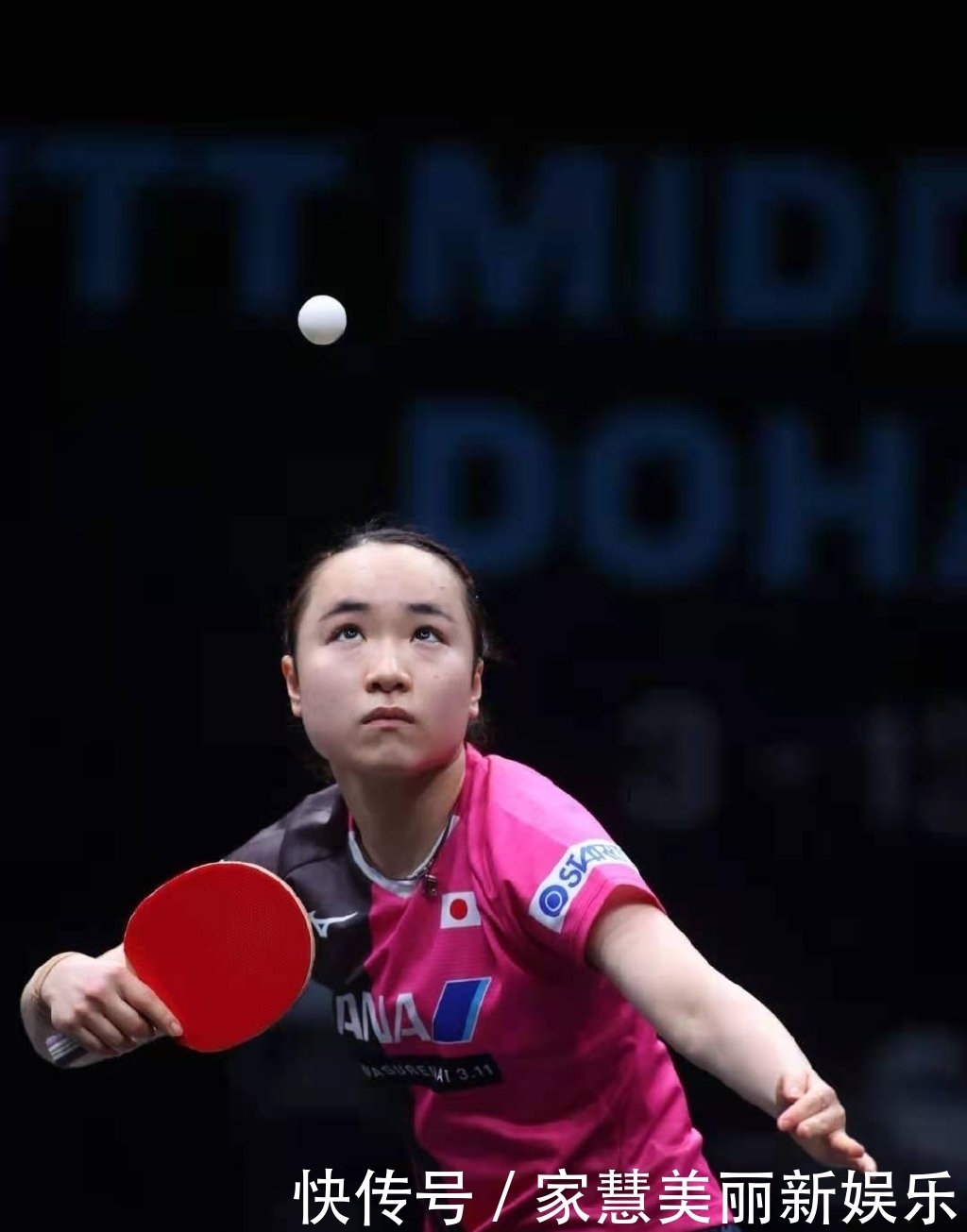 91国在线啪精品一区忘忧草 真正做到了让娱乐融入生活