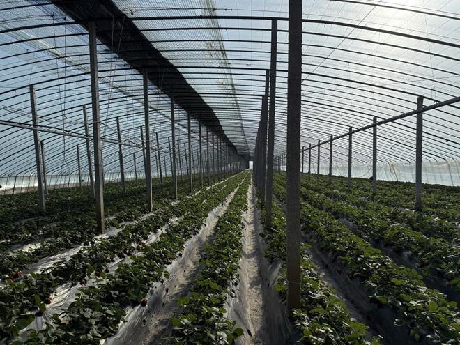 黑料舍在线 搜索功能支持多重筛选