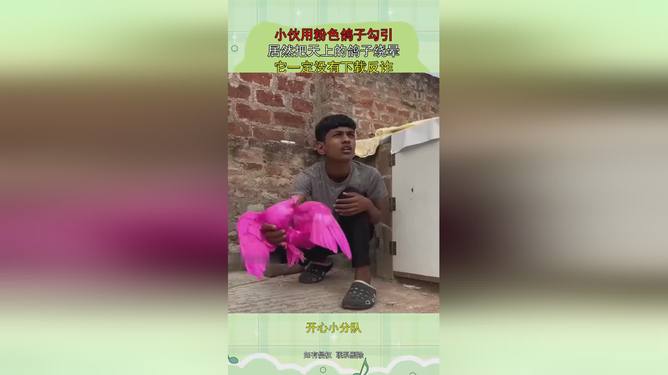 啄木鸟复古电影