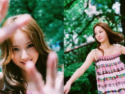 小马拉大车资源库 